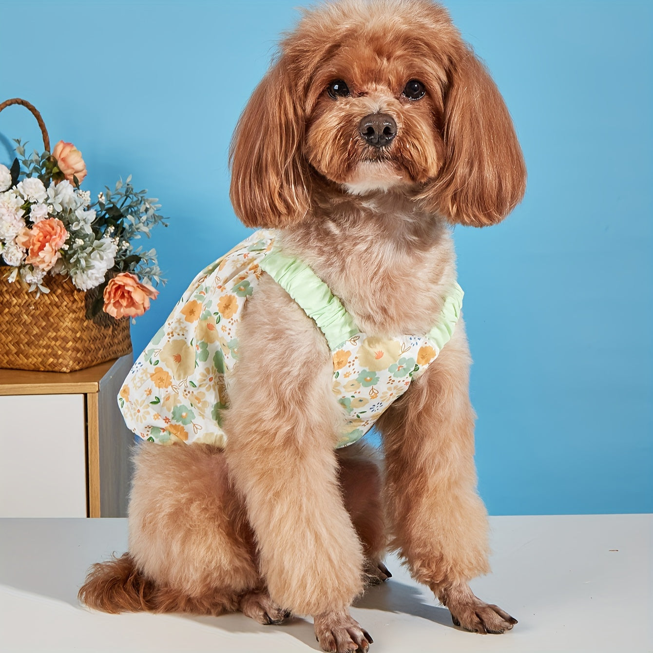 1pc ペットバブルスカート、小中型犬用フローラル衣服、可愛いプリンセスドレス、子猫子犬用サスペンダースカート
