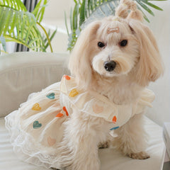 1pc ペットかわいいハートグラフィックプリントレーストリムドレス服犬と猫のための夏